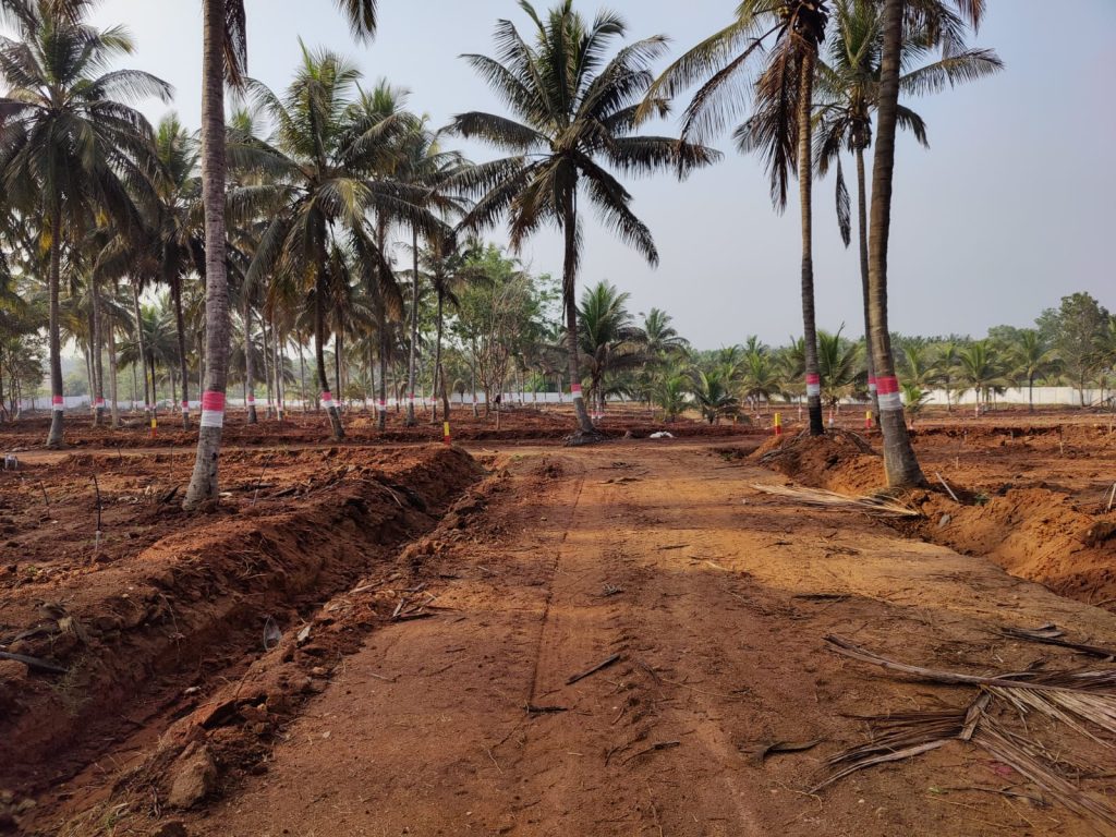 Managed farmland near bangalore