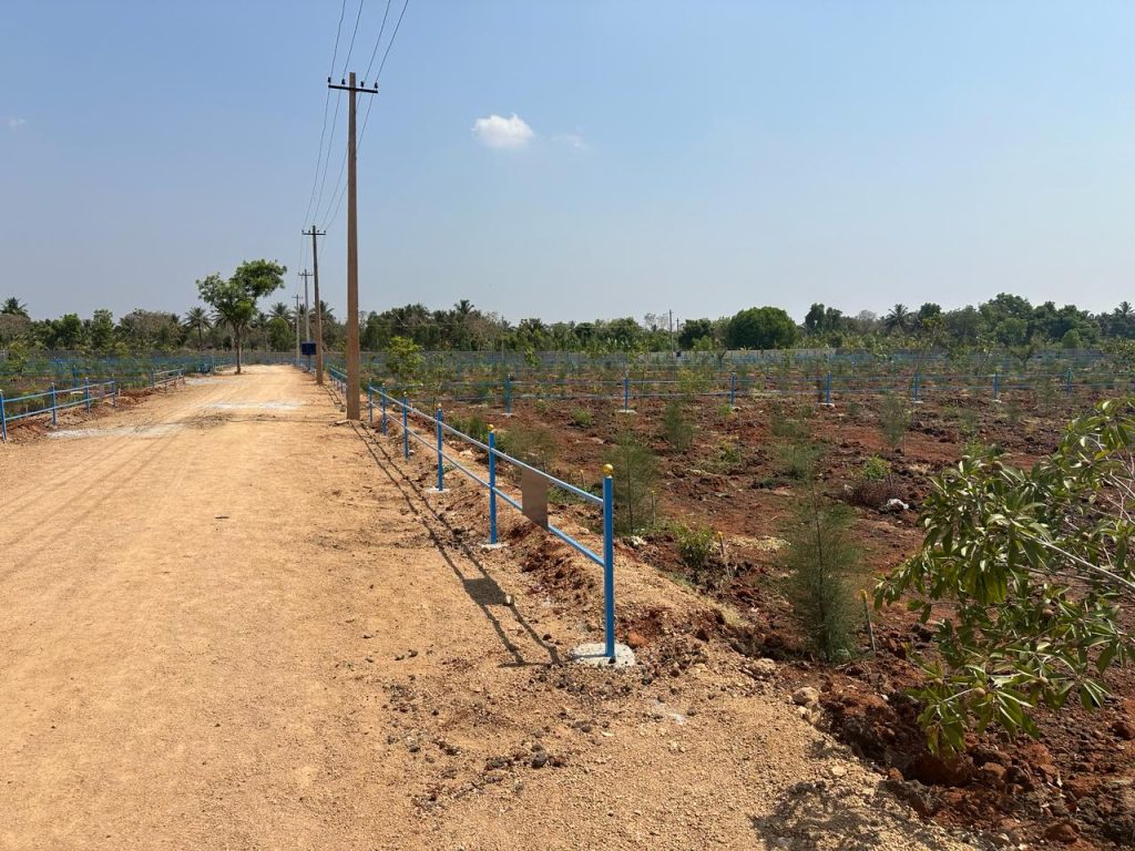 Managed farmland near bangalore