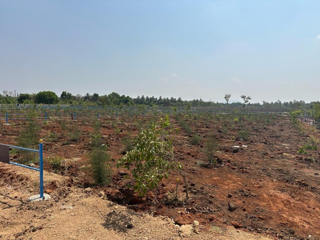 managed farmland near Bangalore