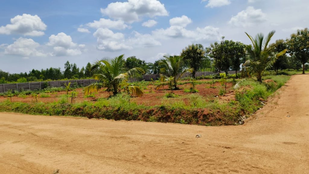 Managed Farmland Near Mysore Road 