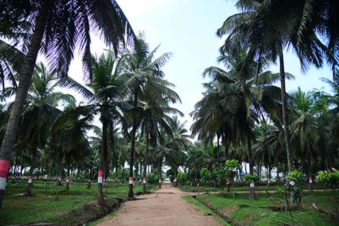 farms near bangalore
