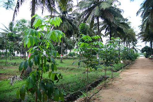 farms near bangalore