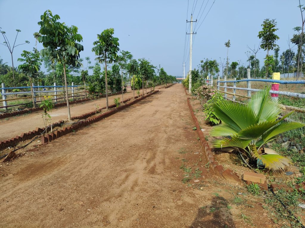 Managed farmland near bangalore